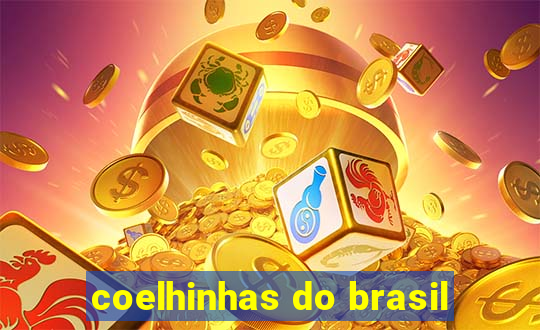 coelhinhas do brasil